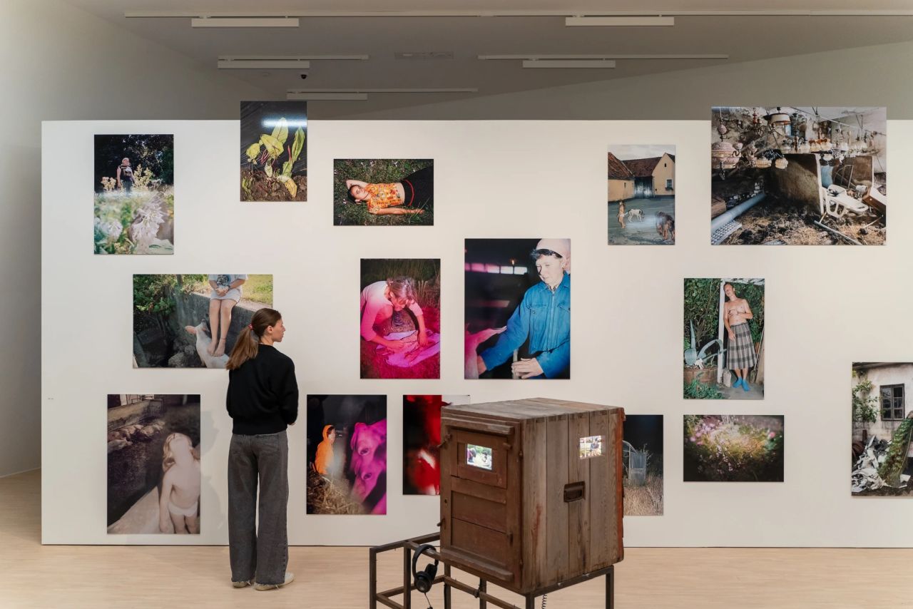 Blick in die Ausstellung "Iris Andraschek. Würdigungspreisträgerin 2025"